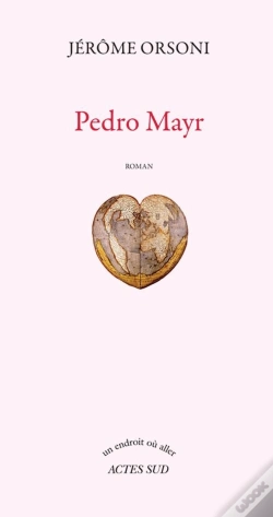 Capa do artigo Pedro Mayr