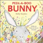 Capa do artigo Peek-A-Boo Bunny