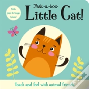 Capa do artigo Peek-A-Boo Little Cat!