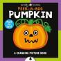 Peek A Boo Pumpkin - Preview