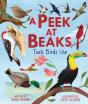 Peek At Beaks - Preview