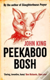 Capa do artigo Peekaboo Bosh