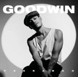 Capa do artigo Peekaboo - Vinil
