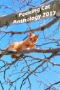 Peeking Cat Anthology 2017 - Preview