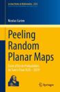 Peeling Random Planar Maps - Preview