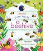 Peep Inside A Beehive - Preview