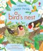 Peep Inside A Bird'S Nest - Preview