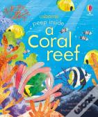 Peep Inside A Coral Reef
