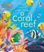 Peep Inside A Coral Reef - Preview