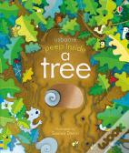 Peep Inside A Tree