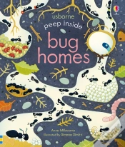 Capa do artigo Peep Inside Bug Homes