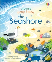Capa do artigo Peep Inside The Seashore