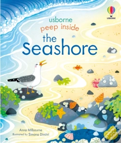 Capa do artigo Peep Inside The Seashore