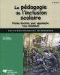 Pegagogie De L Inclusion Scolaire 2e Edition - Preview