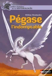 Capa do artigo Pegase L