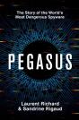 Pegasus - Preview