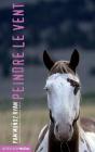 Peindre Le Vent - Preview