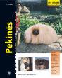 Pekinés - Preview