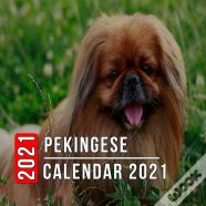 Pekingese Calendar 2021