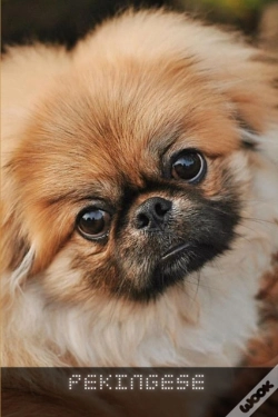Capa do artigo Pekingese