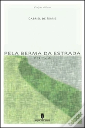 Capa do artigo Pela Berma da Estrada