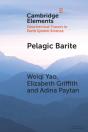 Pelagic Barite - Preview