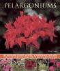Pelargoniums - Preview