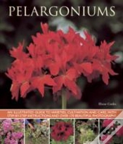 Capa do artigo Pelargoniums