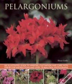 Capa do artigo Pelargoniums