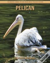 Pelican