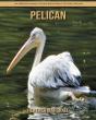 Pelican - Preview