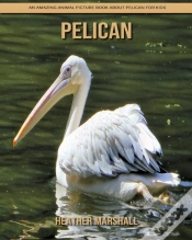 Capa do artigo Pelican
