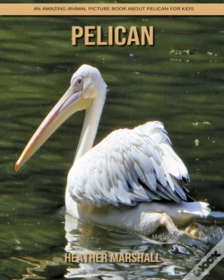 Capa do artigo Pelican