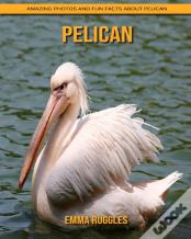 Pelican