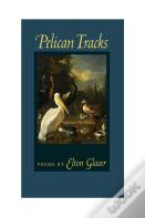 Pelican Tracks