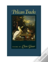 Pelican Tracks