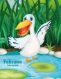 Pelicans Coloring Book 1 - Preview