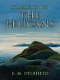 Pelicans - Preview