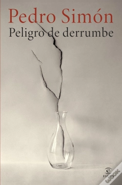 Capa do artigo Peligro De Derrumbe