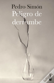 Capa do artigo Peligro De Derrumbe