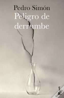Capa do artigo Peligro De Derrumbe