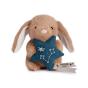 Peluche Coelho Castanho 12Cm Doudou Et Compagnie Doudou Astro Peixes Dc4662 - Preview