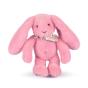 Peluche Coelho Fleurette Rosa 25Cm Doudou Et Compagnie Dc4297 - Preview