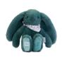 Peluche Coelho Fleurette Verde 25Cm Doudou Et Compagnie Dc4300 - Preview