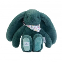 Capa do artigo Peluche Coelho Fleurette Verde 25Cm Doudou Et Compagnie Dc4300