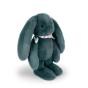 Peluche Coelho Fleurette Verde 35Cm Doudou Et Compagnie Dc4305 - Preview