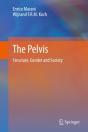 Pelvis - Preview