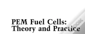 Capa do artigo Pem Fuel Cells