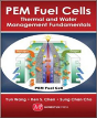 Pem Fuel Cells - Preview