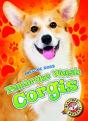 Pembroke Welsh Corgis - Preview